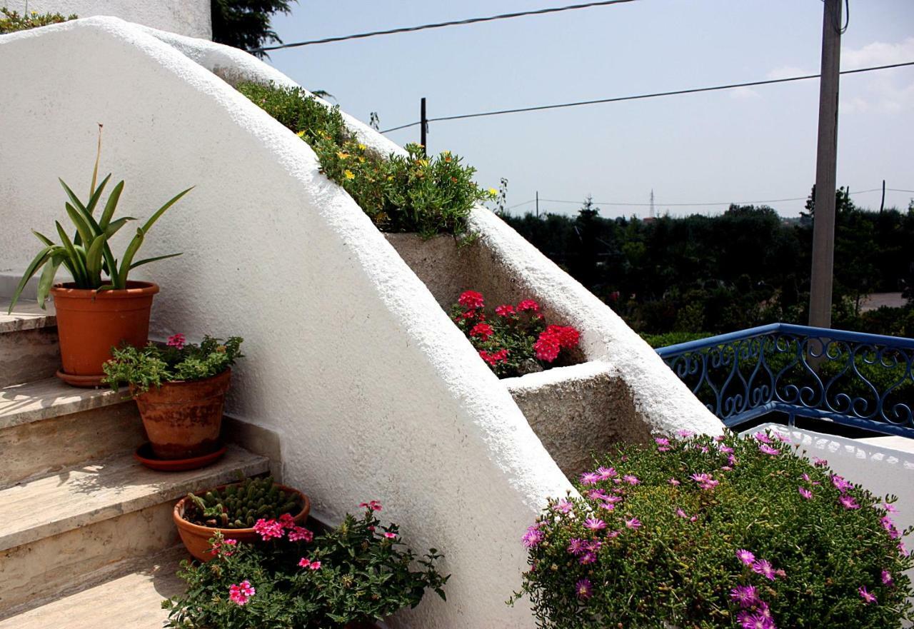 Patty Green House Castellana Grotte Exterior foto